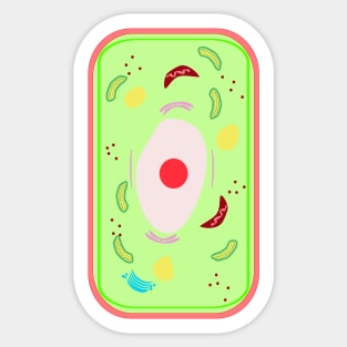 A plant cell with vacuole, Mitochondria, Golgi bodies,Lysosomes etc. in a cell of a leaf. Sticker